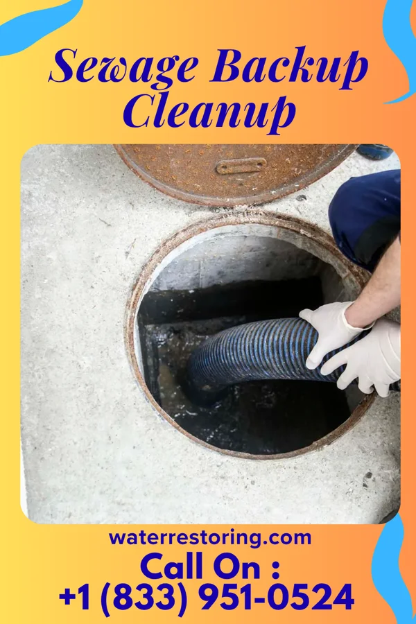 Sewage Backup Cleanup in Kent, MN